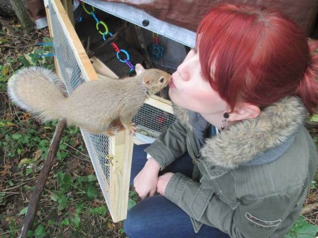 Acid Picdump (96 pics)