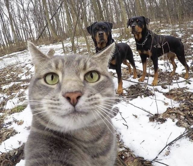 Acid Picdump (96 pics)
