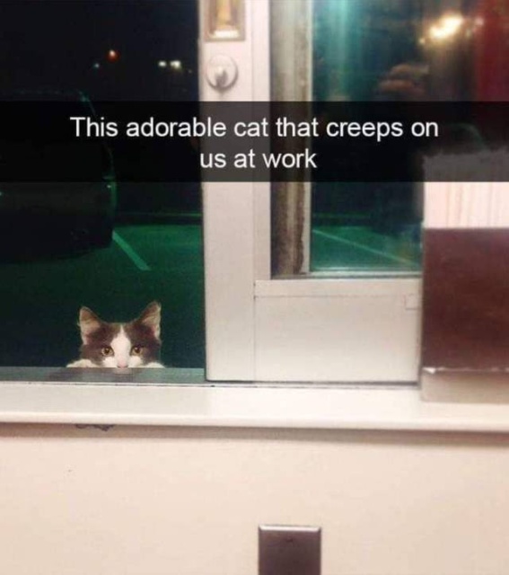 Acid Picdump (96 pics)