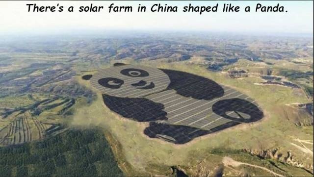 Acid Picdump (96 pics)