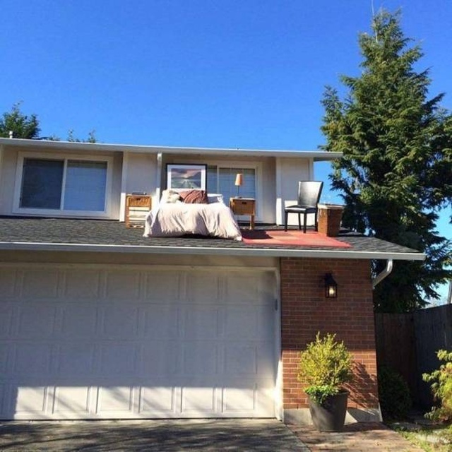 Acid Picdump (96 pics)