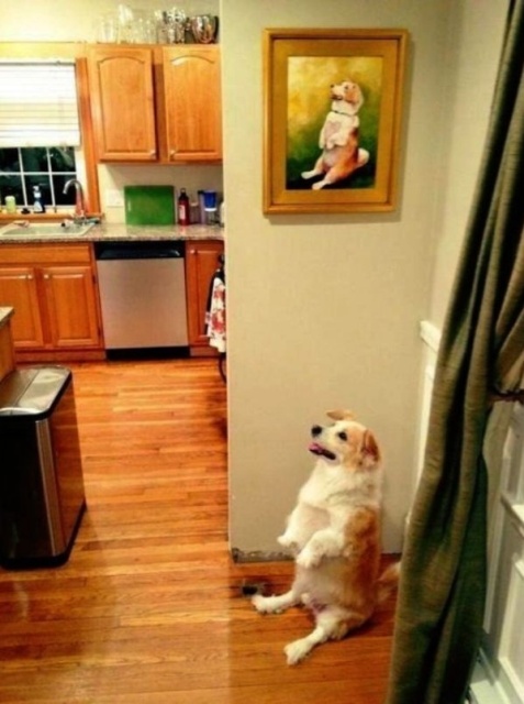Acid Picdump (96 pics)