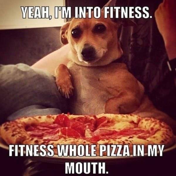 Fitness Memes (36 pics)