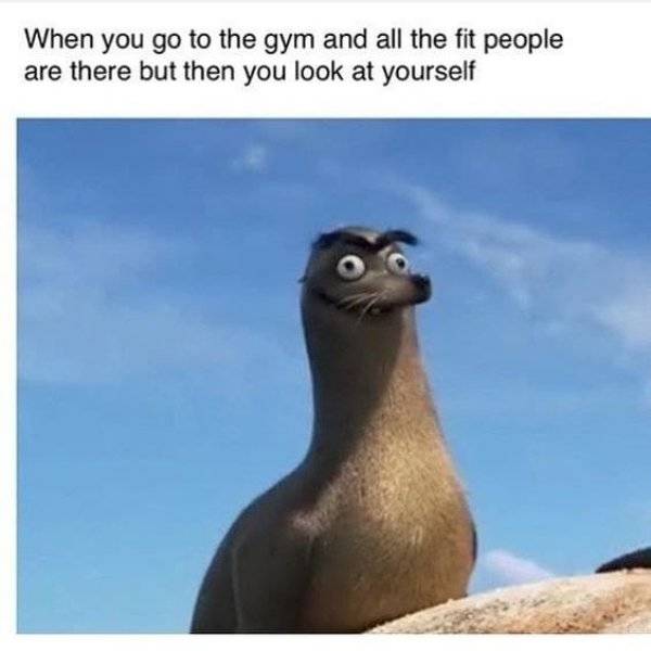 Fitness Memes (36 pics)