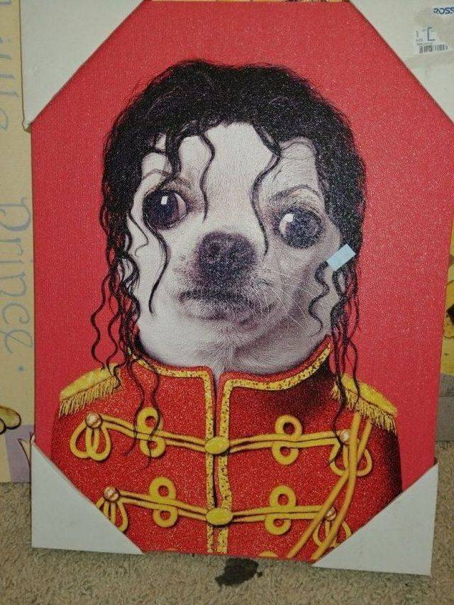 Crazy Stuff From Thrift Shops (46 pics)