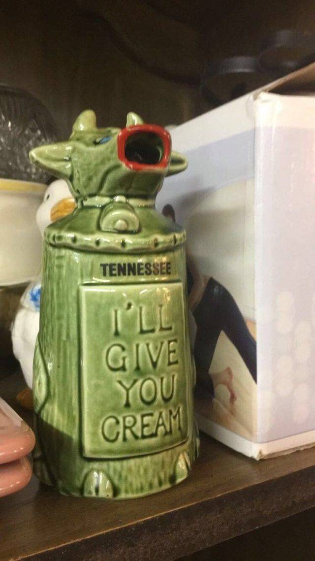 Crazy Stuff From Thrift Shops (46 pics)