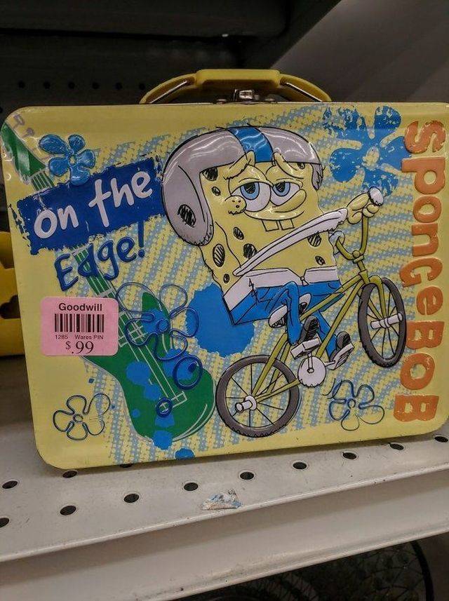 Crazy Stuff From Thrift Shops (46 pics)