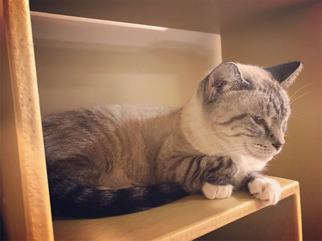 This Is Floofen (20 pics)