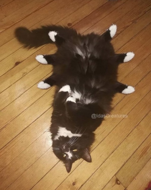 Photoshopped Pets (31 pics)