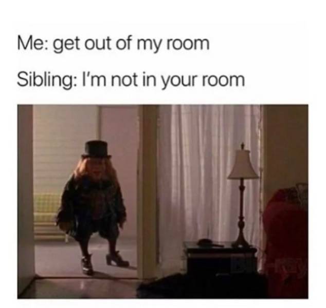 Memes About Siblings (28 pics)