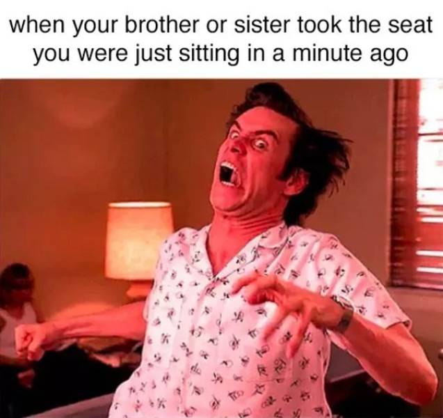 Memes About Siblings (28 pics)