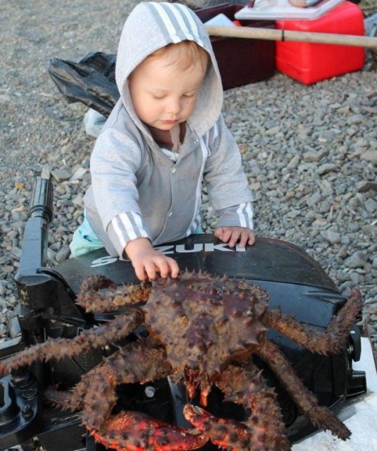 Acid Picdump (100 pics)