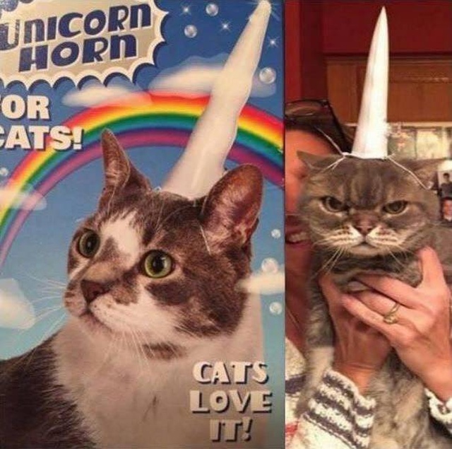 Acid Picdump (100 pics)