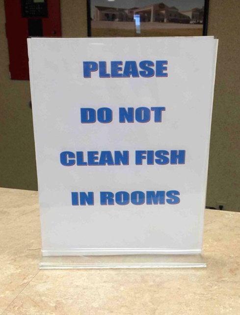 Obvious Signs Humanity Is Devolving (19 pics)