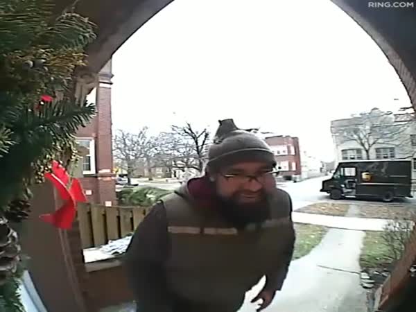 Squirrels Do Like UPS Delivery Guys