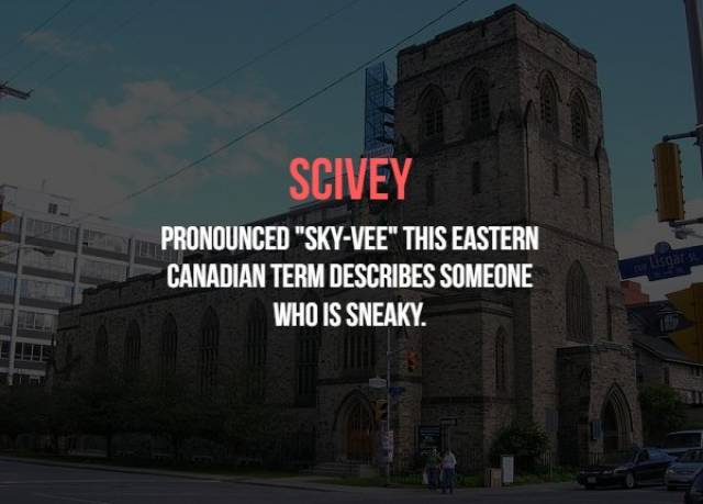 Canadian Insults Which They Never Use Anyway (19 pics)
