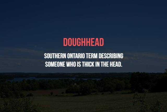 Canadian Insults Which They Never Use Anyway (19 pics)