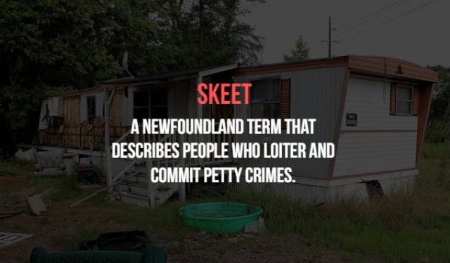 Canadian Insults Which They Never Use Anyway (19 pics)