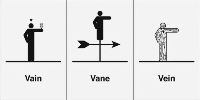 Illustrations About Homophones (29 pics)