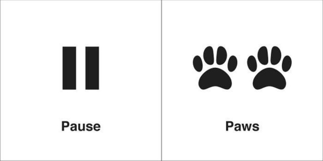 Illustrations About Homophones (29 pics)