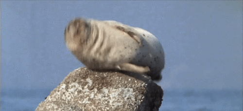 Acid Gifdump, December 14 (25 gifs)