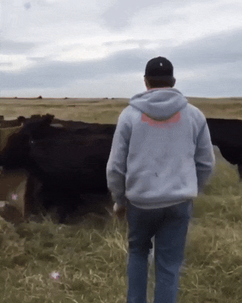 It Hurts So Much (17 gifs)