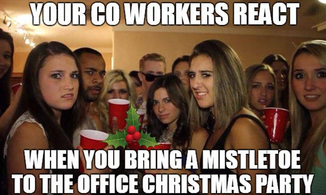 Holidays Office Party Memes (25 pics)