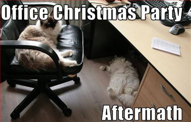 Holidays Office Party Memes (25 pics)