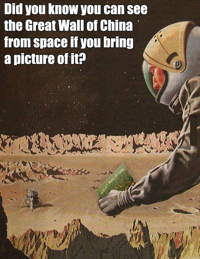 Space Memes (56 pics)