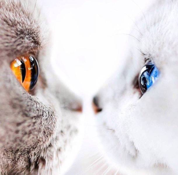 When A Picture Says More Than Just A Thousand Words (49 pics)
