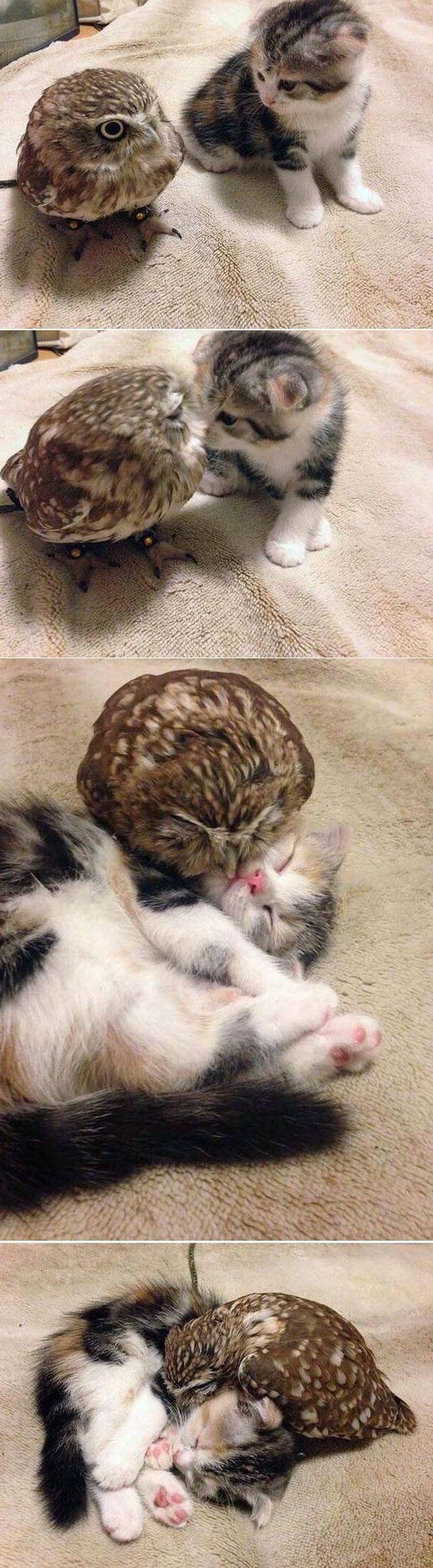 When A Picture Says More Than Just A Thousand Words (49 pics)