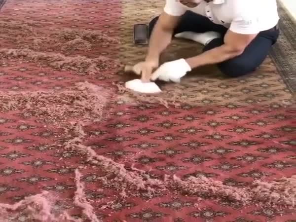 Restoring Carpet Damaged By The Sun