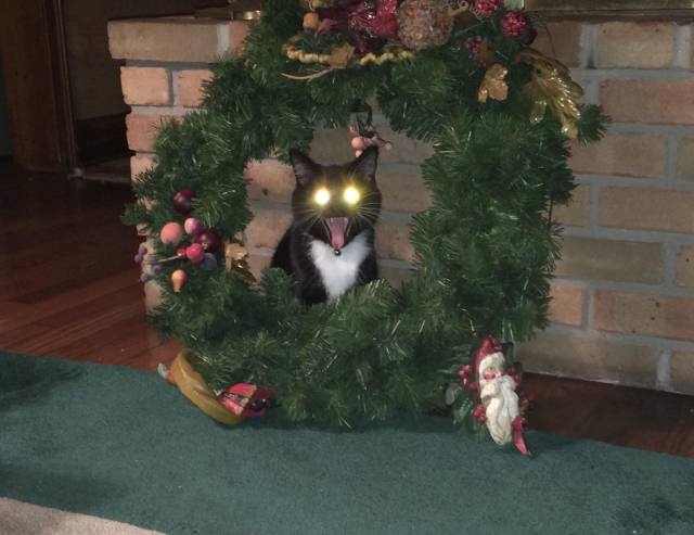Acid Picdump (100 pics)