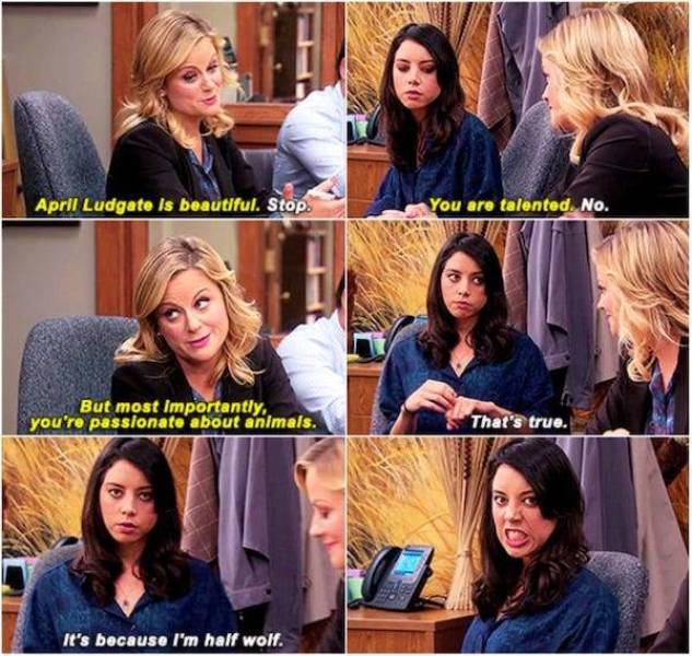 April Ludgate Was Always Right (28 pics)