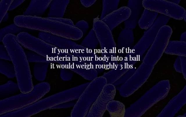 Creepy Facts (20 pics)