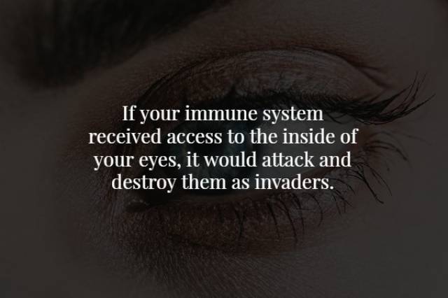 Creepy Facts (20 pics)