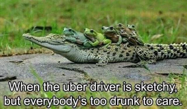 What Happens If You Drink Too Much (47 pics)