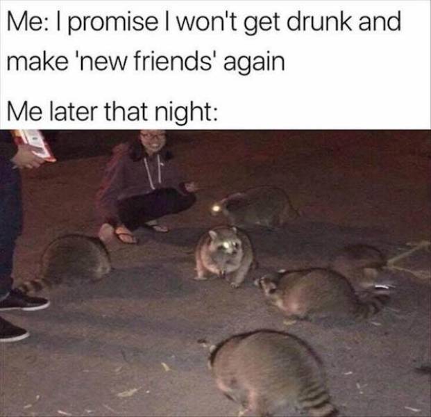 What Happens If You Drink Too Much (47 pics)