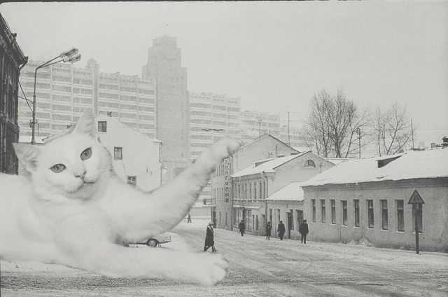Cats Photoshopped Into New Year’s Photos From The Former USSR (10 pics)