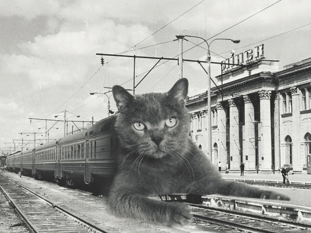 Cats Photoshopped Into New Year’s Photos From The Former USSR (10 pics)