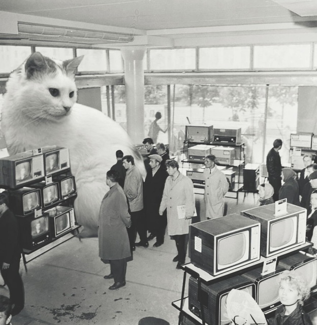 Cats Photoshopped Into New Year’s Photos From The Former USSR (10 pics)
