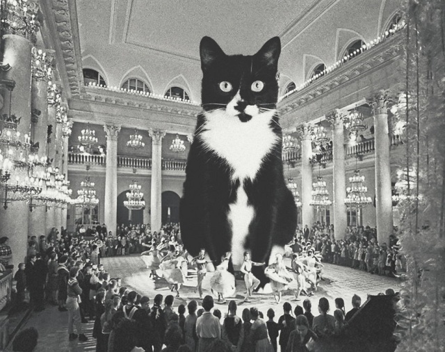Cats Photoshopped Into New Year’s Photos From The Former USSR (10 pics)