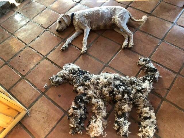 Acid Picdump (96 pics)