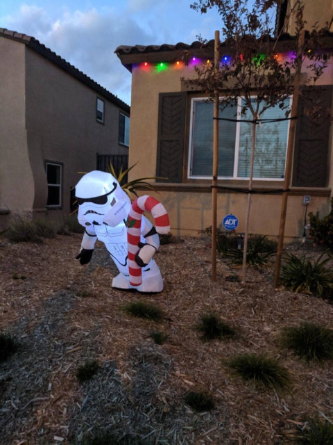 Acid Picdump (96 pics)