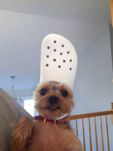 Acid Picdump (96 pics)