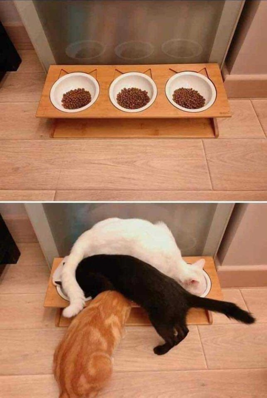 Acid Picdump (96 pics)