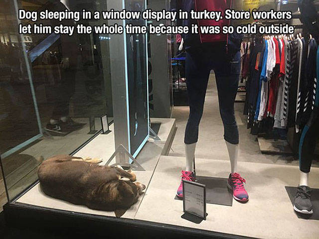 Just Awesome (40 pics)