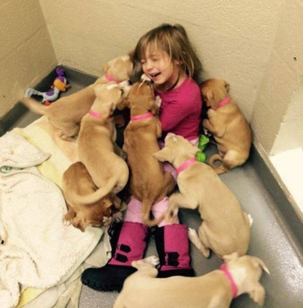 Just Awesome (40 pics)