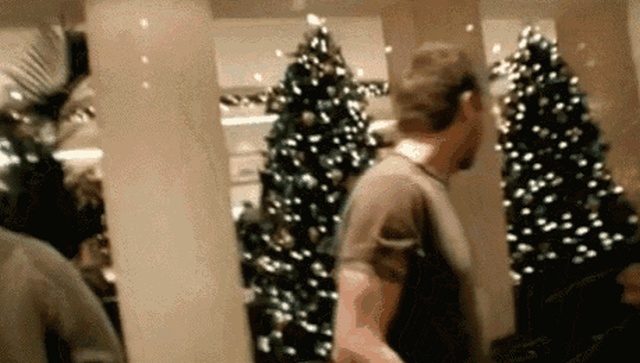 Christmas Tree Fails (15 gifs)