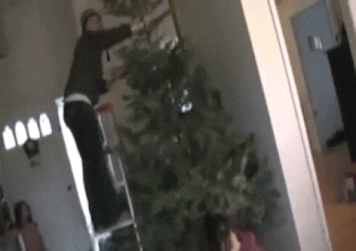 Christmas Tree Fails (15 gifs)
